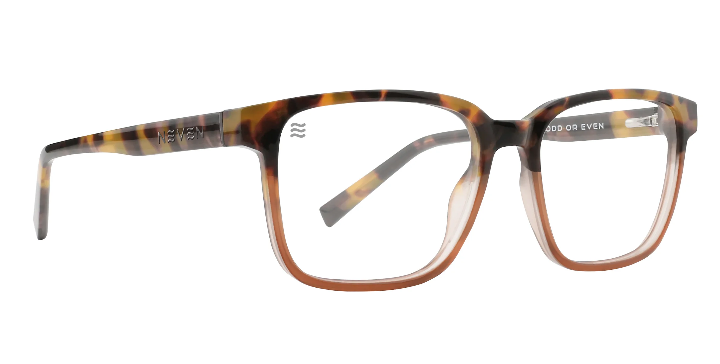 Everlast International - Image 167
