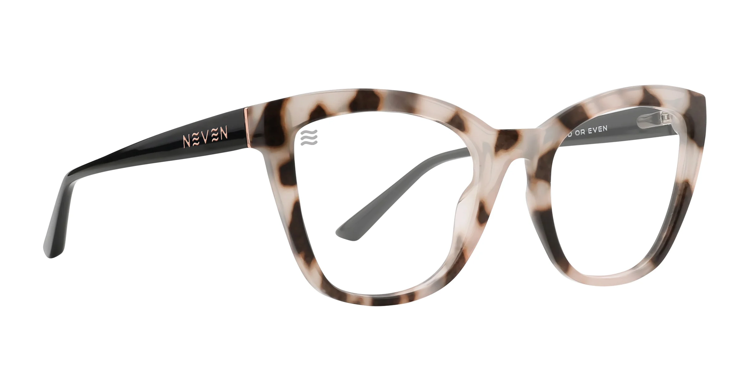 Everlast International - Image 175