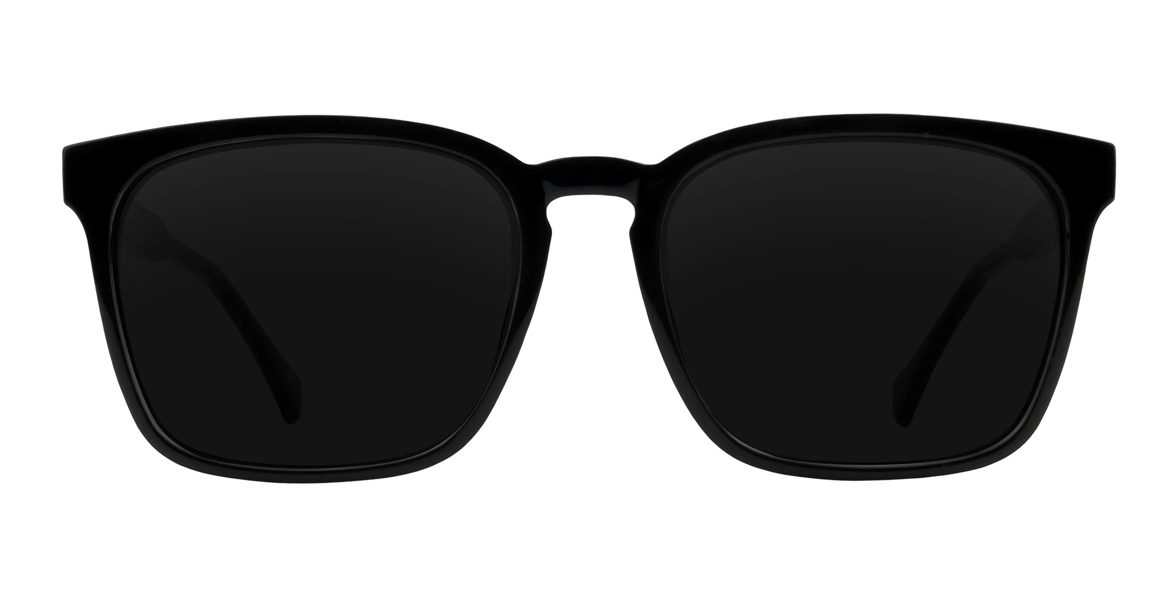 Rufus - Image 6