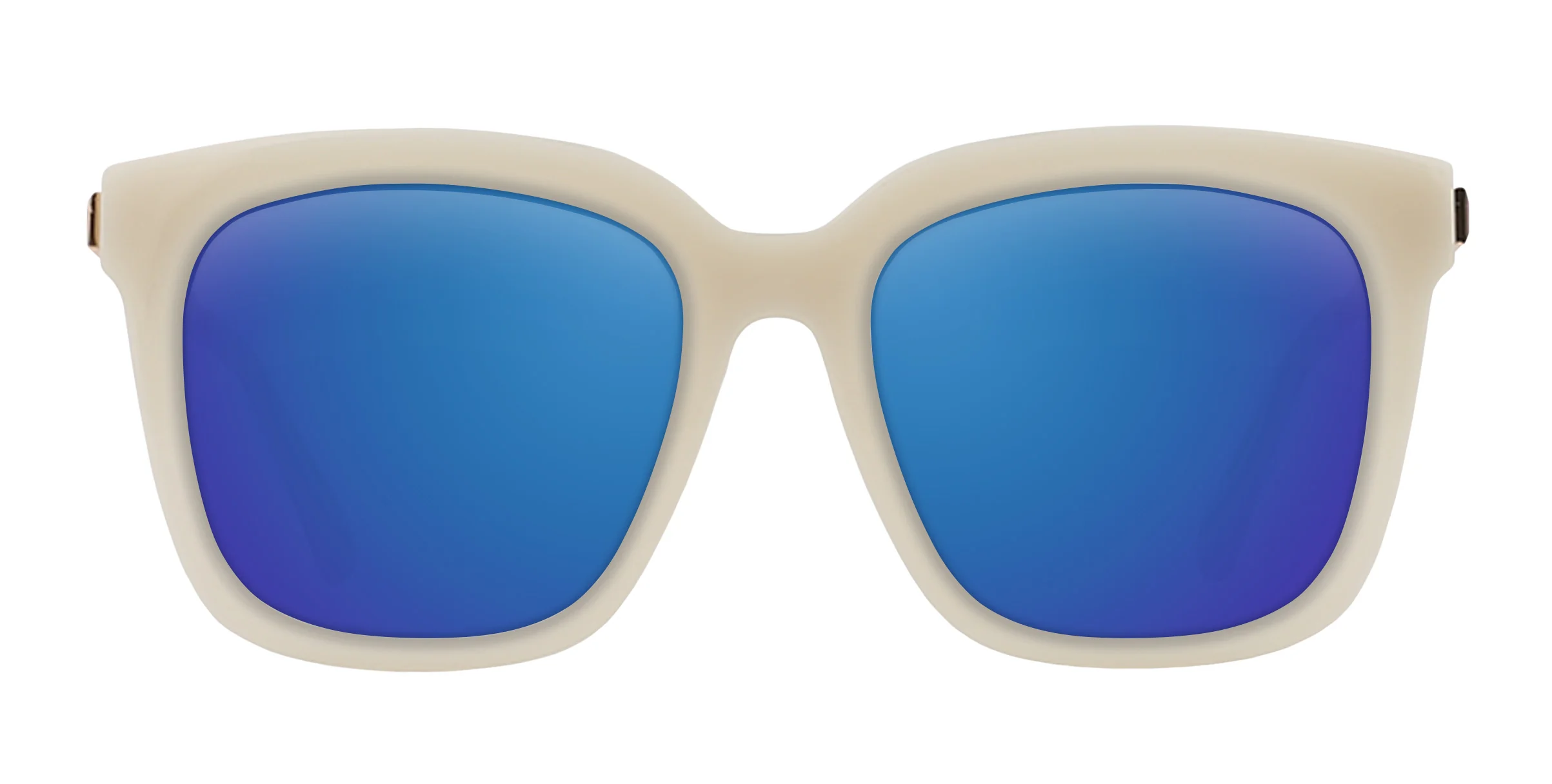 Sand Dollar - Image 14
